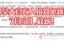 威金斯官方公布新规，官方宣布新规引发争议，引发争议球迷热议！